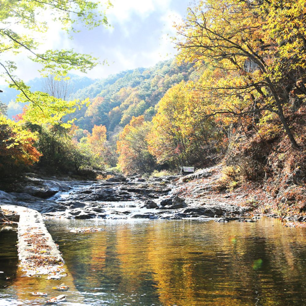주변전경