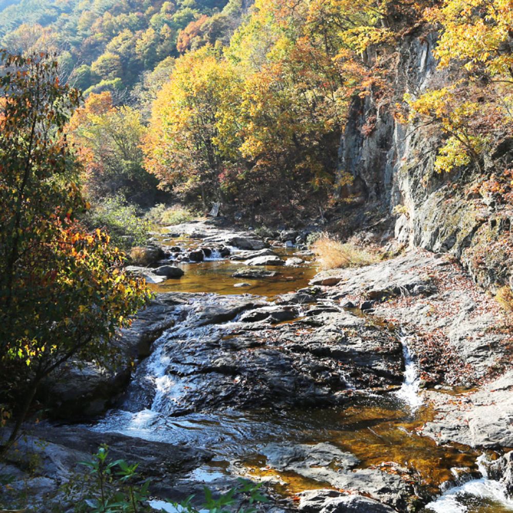 주변전경