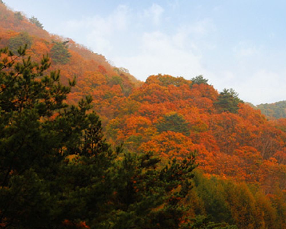 덕유산 등산